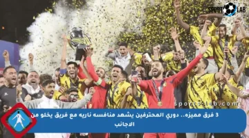 3 فرق مميزة.. دوري المحترفين يشهد منافسة نارية مع فريق يخلو من الأجانب